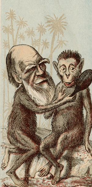 Caricaturas de Darwin – Diario de un copépodo